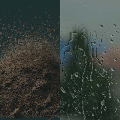 Insight Photos