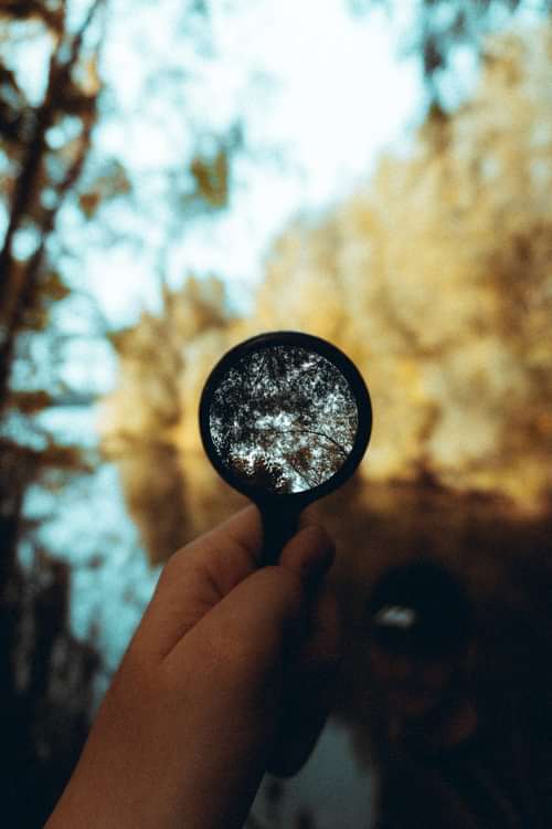 Insight Photos